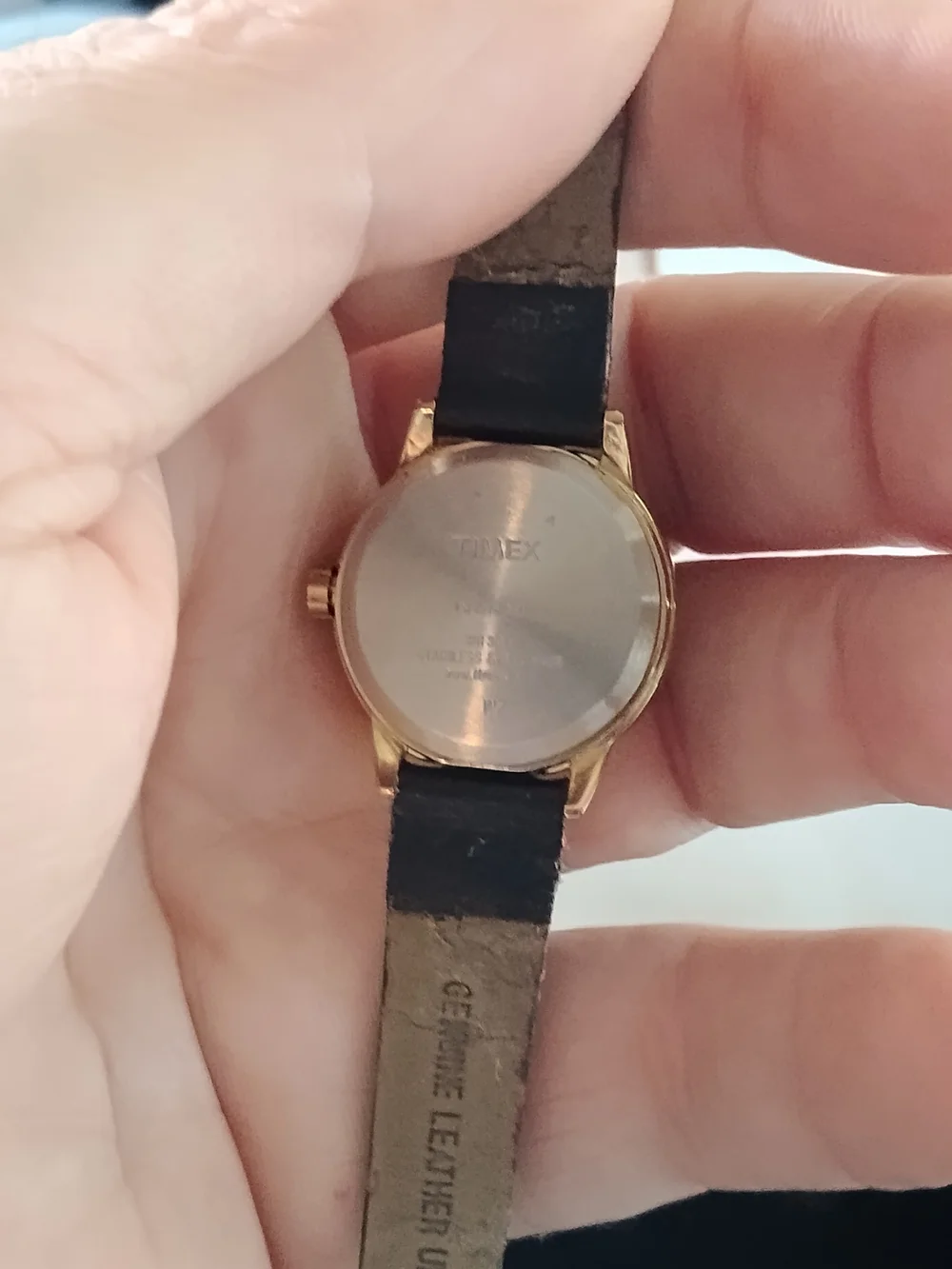 Timex Women's Indiglo Gold Case Black Leather Strap Watch - White Dial